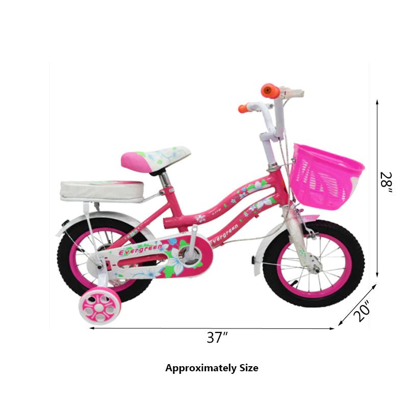 12 inches Girls Bicycle | B12-1245