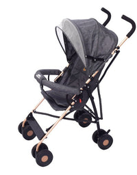 BABY BUGGY/PUSH CHAIR
