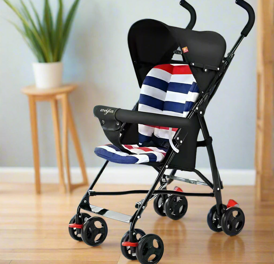 Unisex Baby Buggy BG-1011