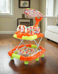 Baby Walker with Canopy
