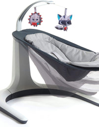 BABY SWING & BOUNCER 2 IN 1 TINY LOVE
