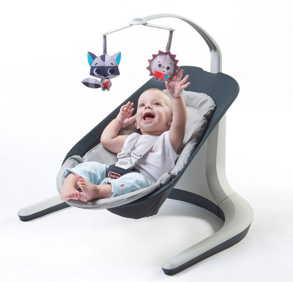 BABY SWING & BOUNCER 2 IN 1 TINY LOVE